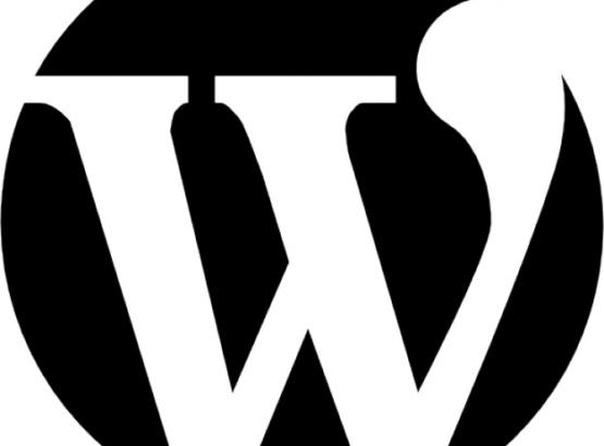 wordpress-logo-cws